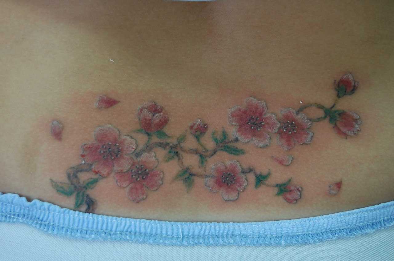 Tatuagem nas costas da menina - cores