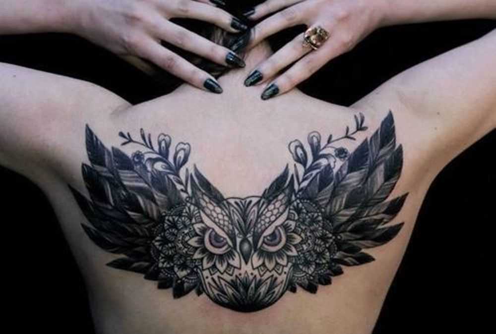 Tatuagem nas costas da menina - coruja