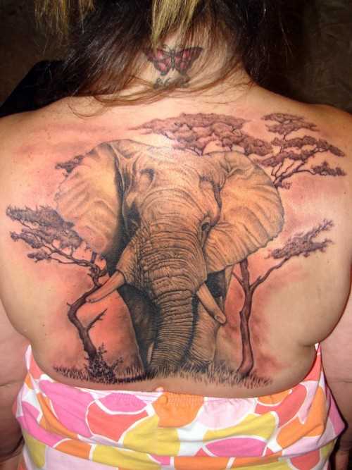 Tatuagem nas costas da menina - elefante e árvores