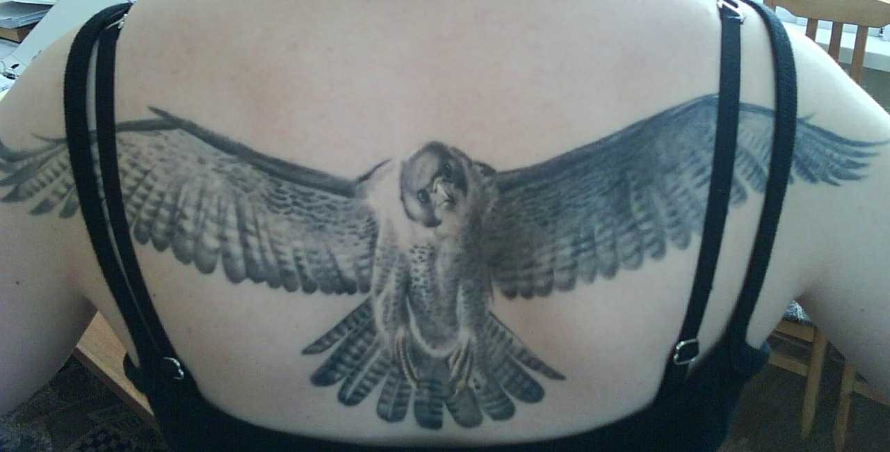 Tatuagem nas costas da menina - falcão