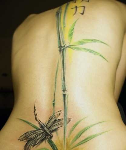 Tatuagem nas costas da menina - libélula e o bambu
