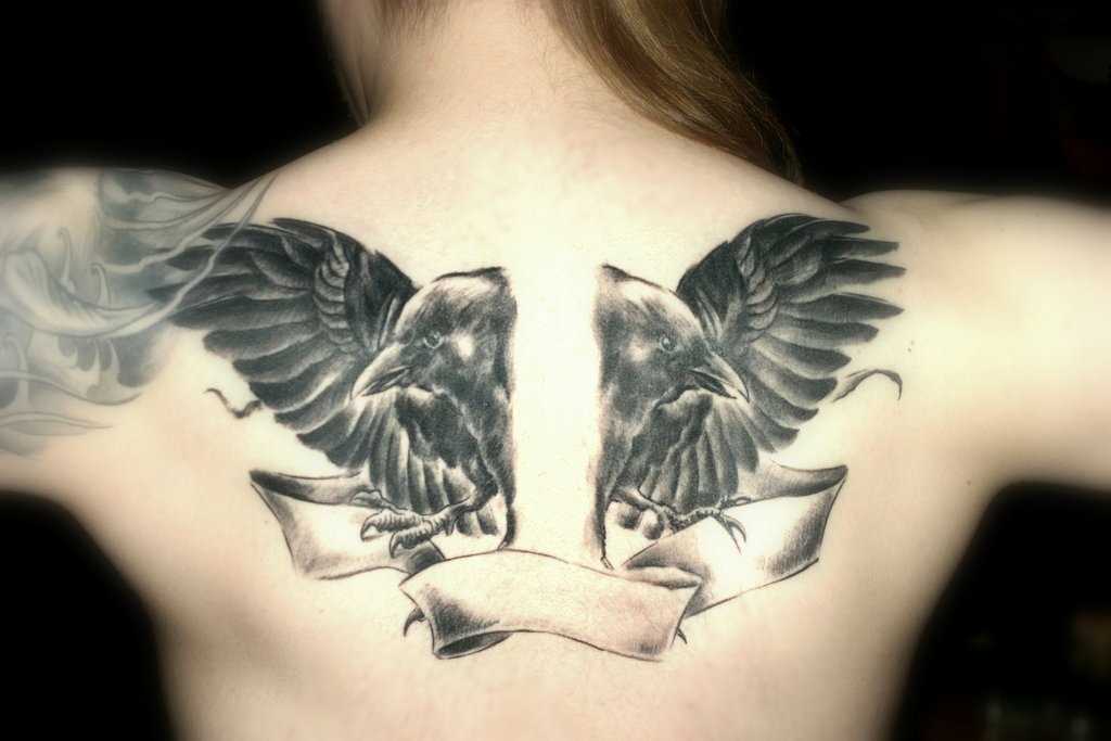Tatuagem nas costas da menina, na forma de dois corvos