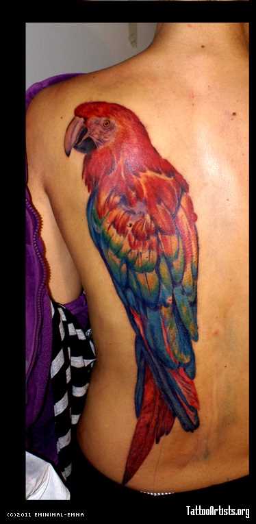 Tatuagem nas costas da menina - papagaio