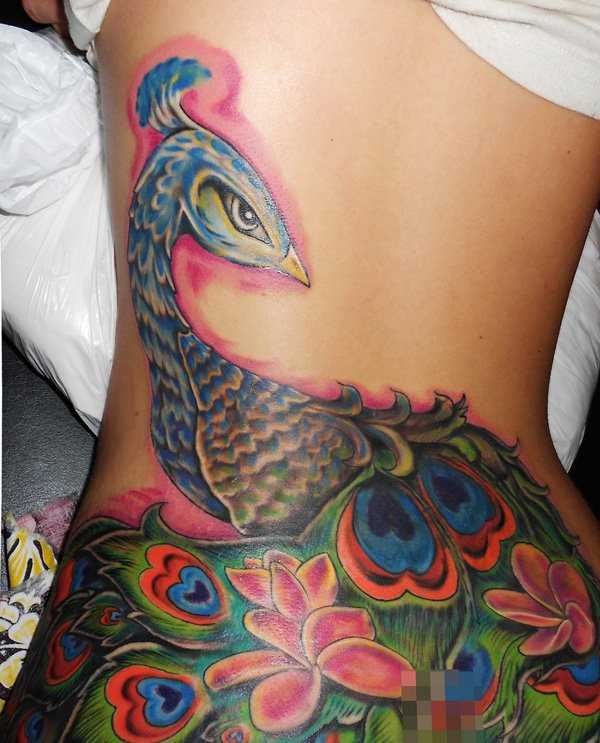 Tatuagem nas costas da menina - pavão