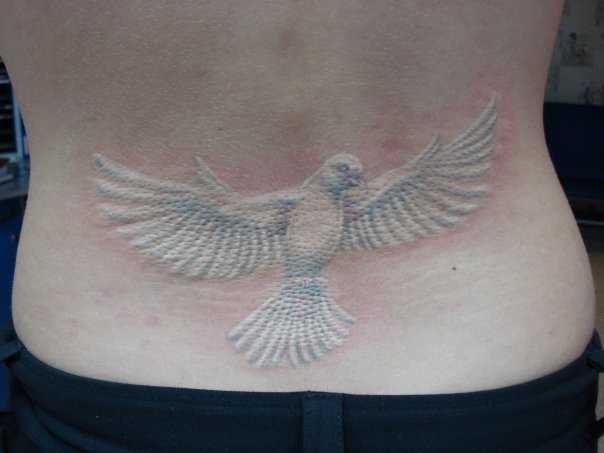 Tatuagem nas costas da menina - pombo