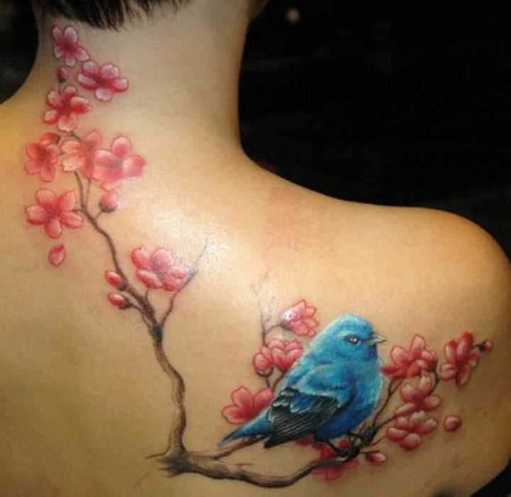 Tatuagem nas costas da menina - sakura e o pássaro azul