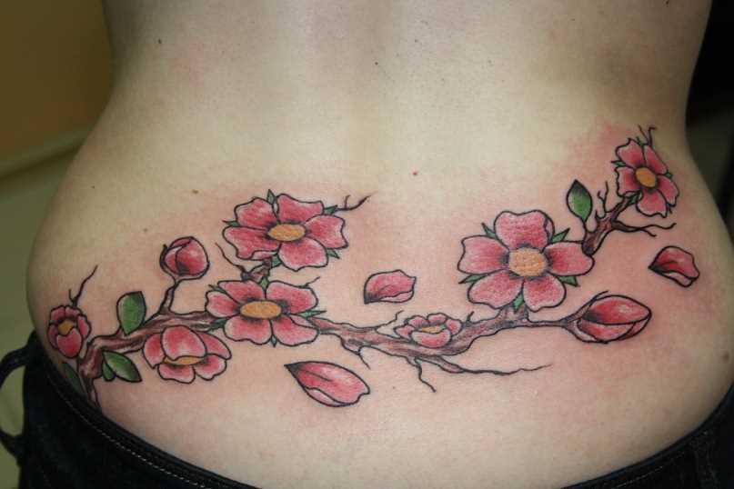 Tatuagem nas costas da menina - sakura