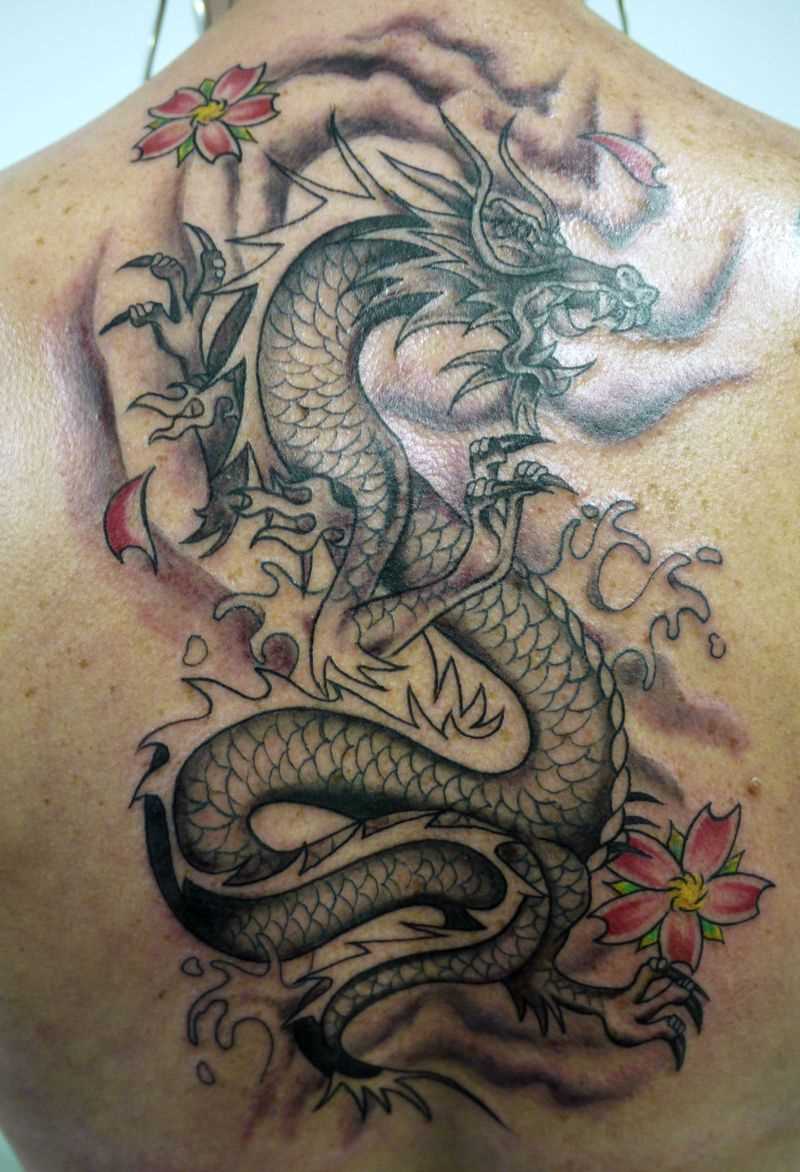 Tatuagem nas costas de um cara de dragão, e sakura