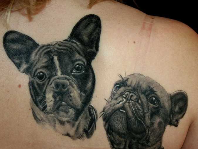 Tatuagem nas costas de uma menina - cães