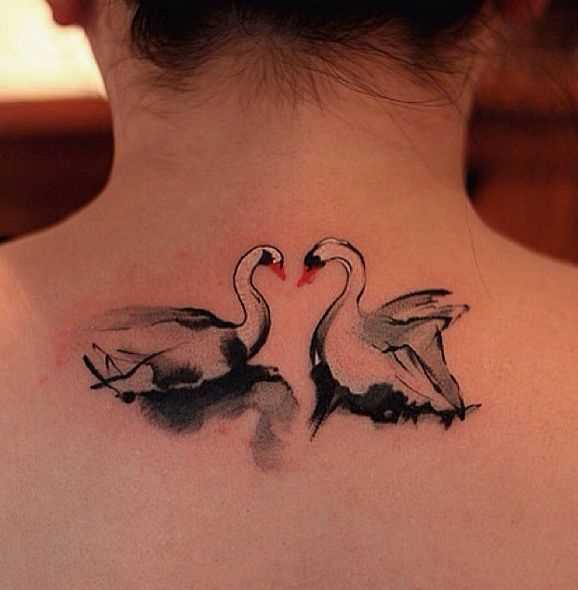 Tatuagem nas costas de uma menina - cisnes