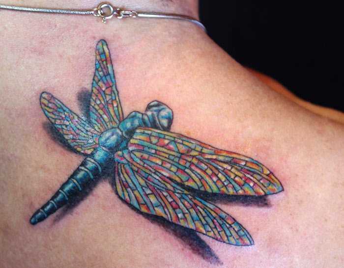 Tatuagem nas costas de uma menina - libélula