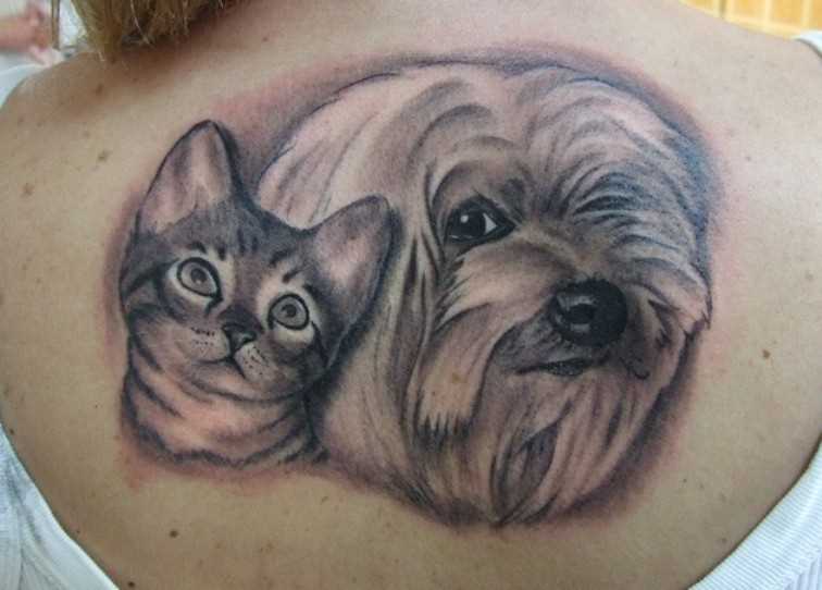 Tatuagem nas costas de uma menina - o cão e o gato