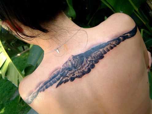 Tatuagem nas costas de uma menina - que paira águia