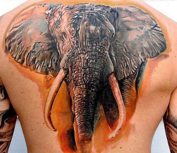 Tatuagem nas costas para o homem - elefante