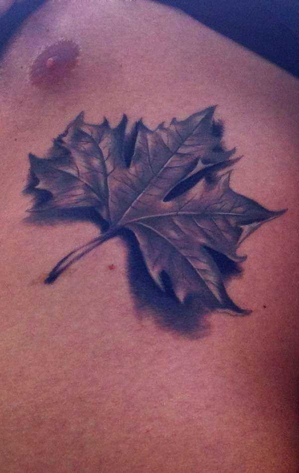 Tatuagem nas costelas cara - a folha