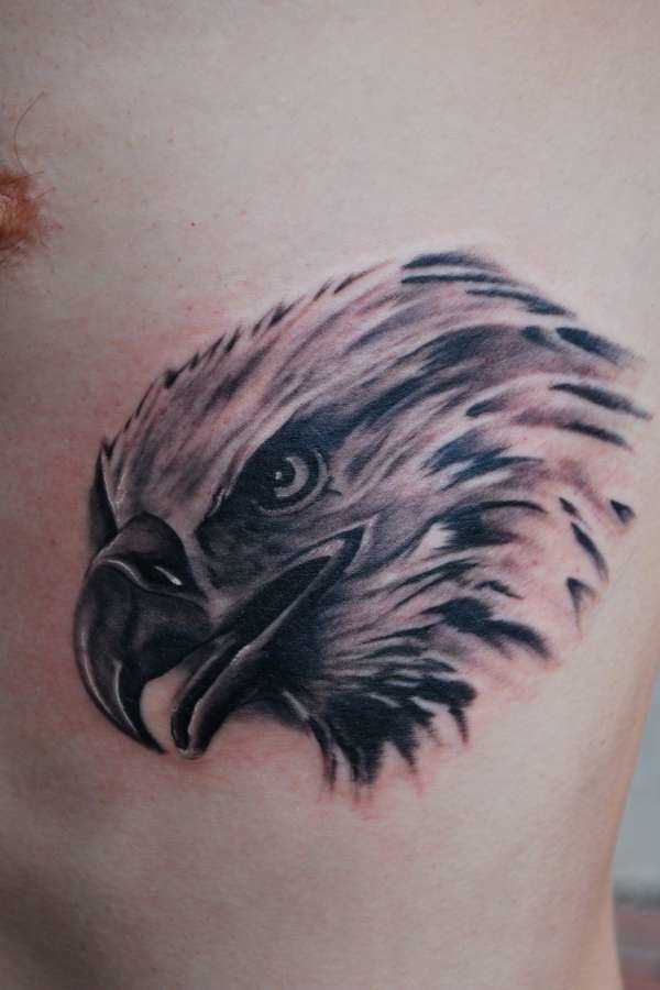Tatuagem nas costelas cara - cabeça da águia
