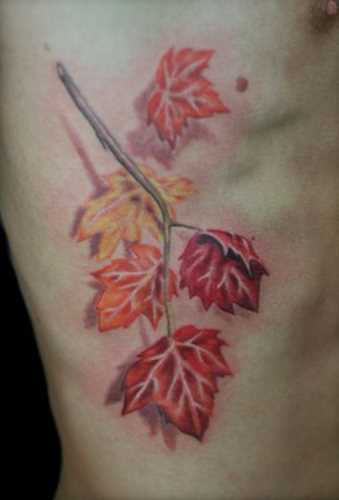 Tatuagem nas costelas de um cara em forma de folhas