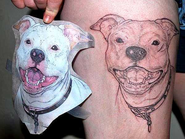 Tatuagem nas coxas da menina e a miniatura de um cachorro