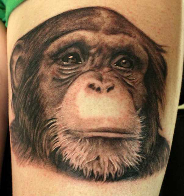 Tatuagem nas coxas da menina - macaco