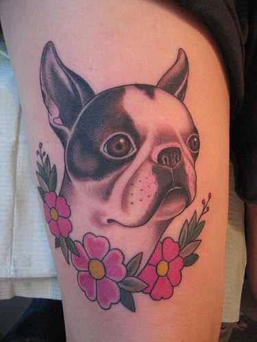 Tatuagem nas coxas da menina - o cão e a cores