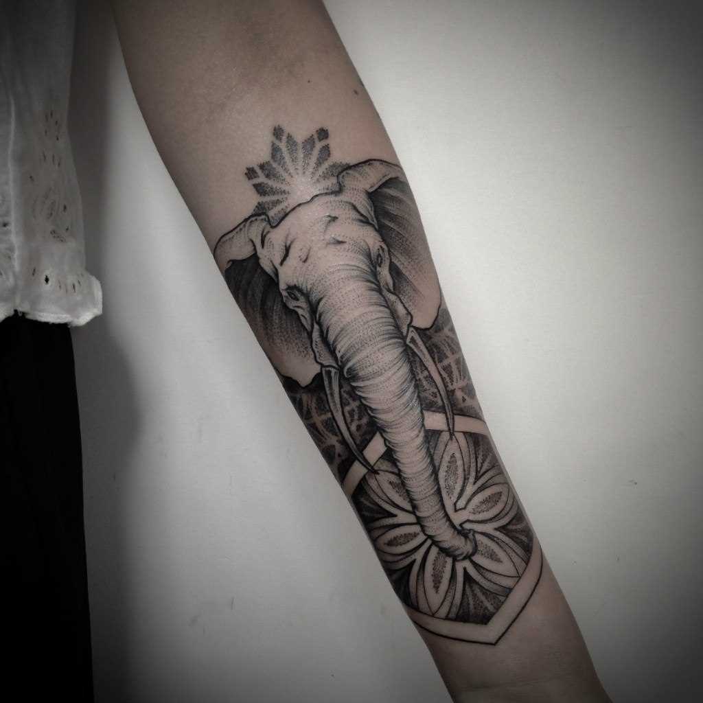 Tatuagem no antebraço, as meninas - elefante