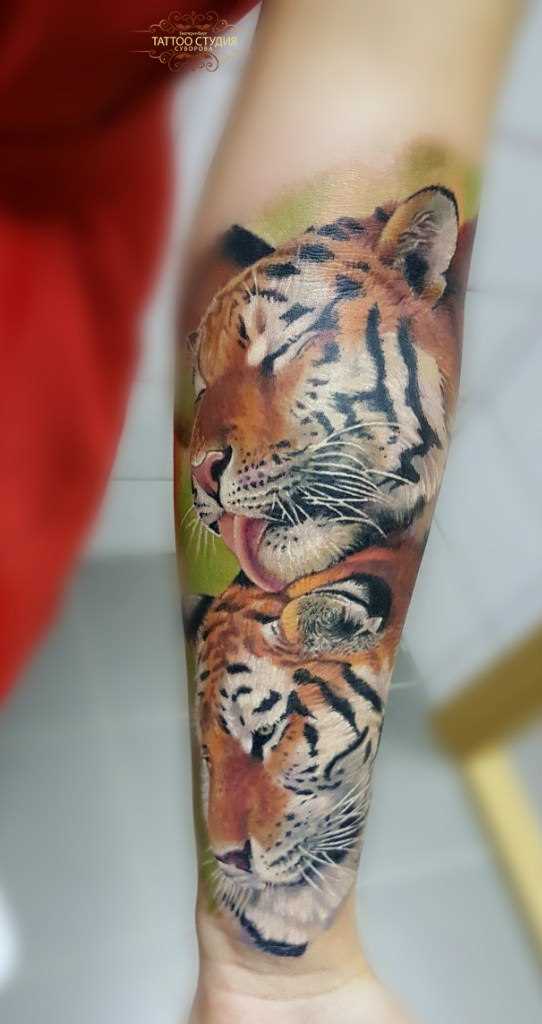 Tatuagem no antebraço, as meninas - tigres