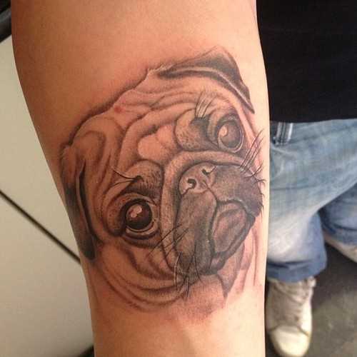 Tatuagem no antebraço cara - de- cão