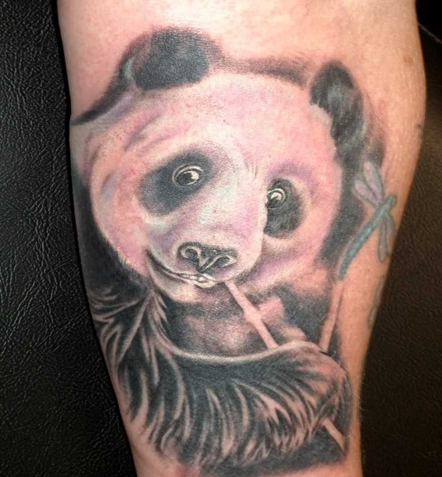Tatuagem no antebraço cara de panda e uma libélula