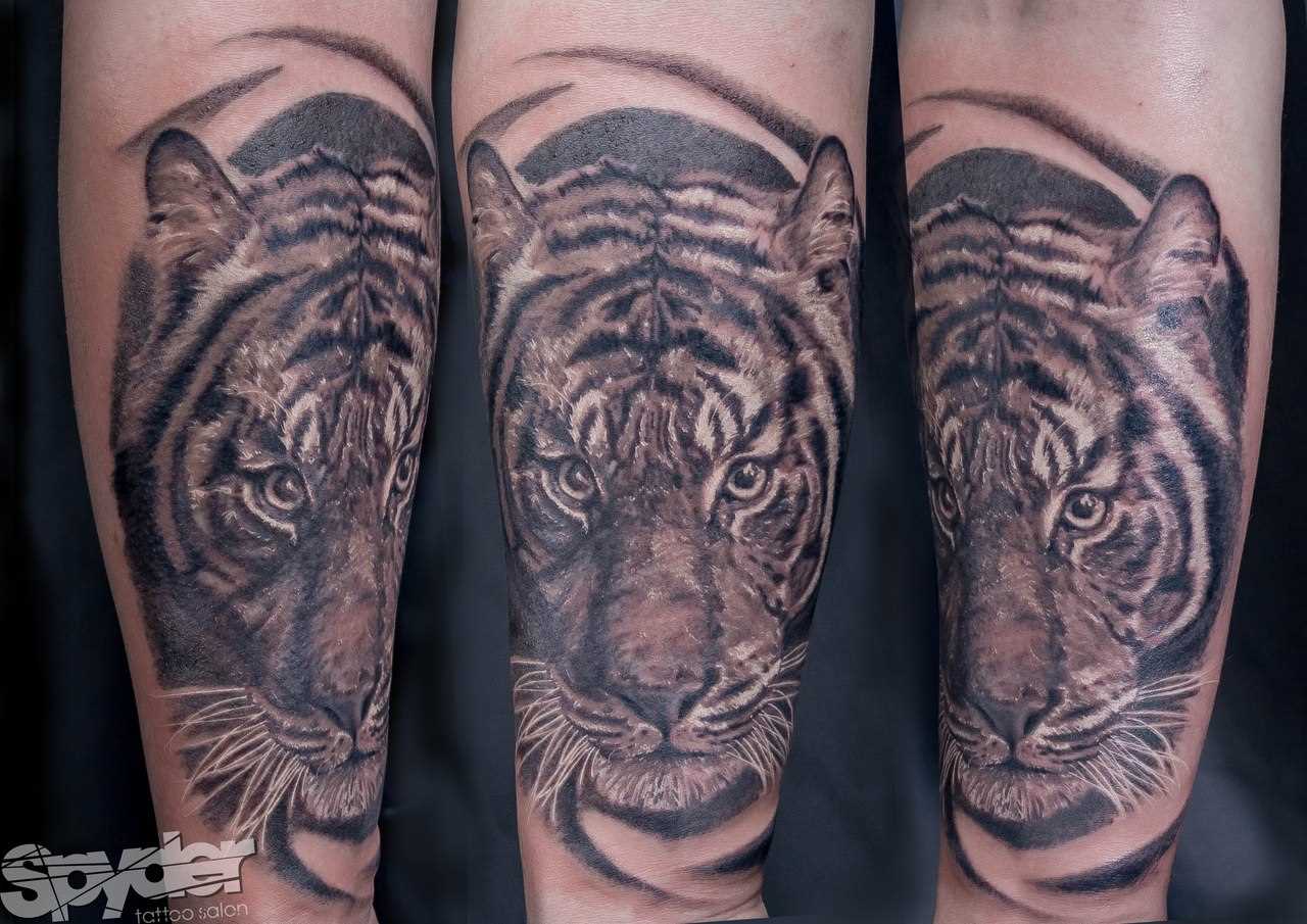 Tatuagem no antebraço cara de tigre