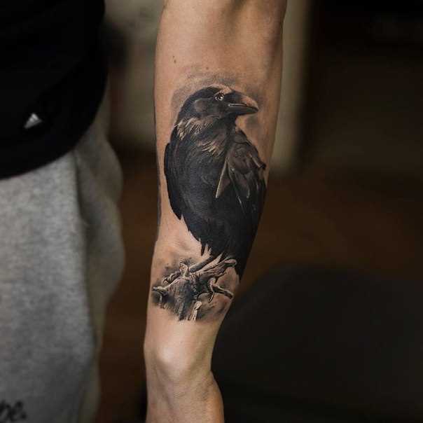 Tatuagem no antebraço cara - preta do corvo