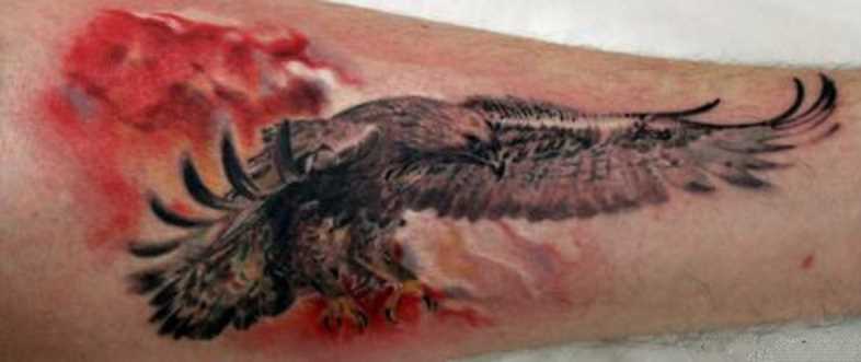 Tatuagem no antebraço cara - voador falcão