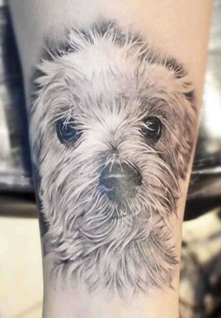 Tatuagem no antebraço da menina em forma de cão