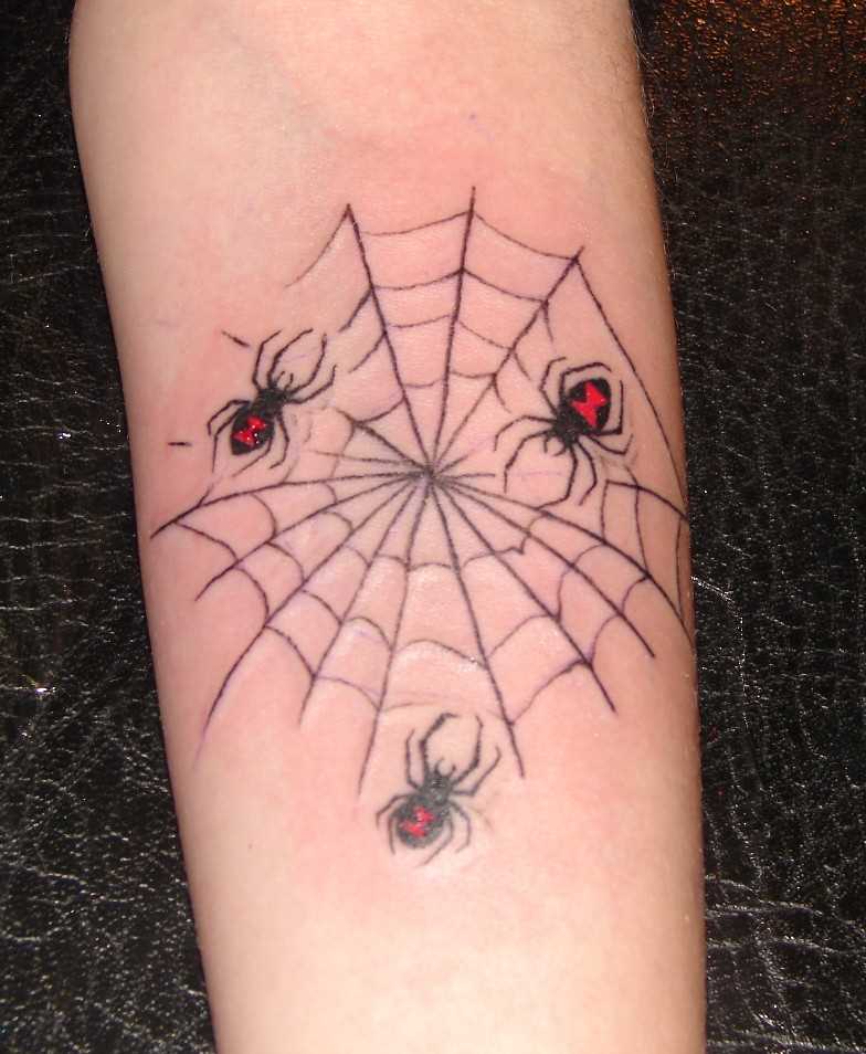 Tatuagem no antebraço de meninas da web e aranhas