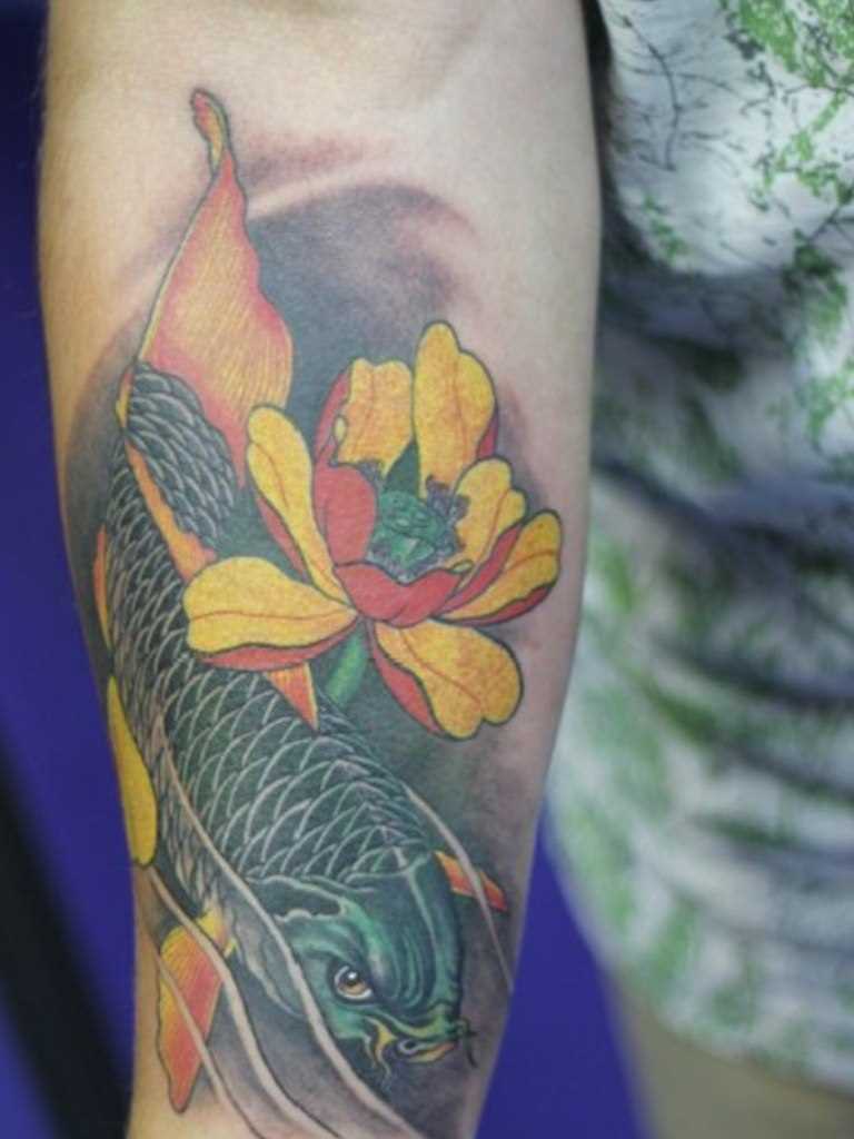 Tatuagem no antebraço do cara - a carpa e a flor