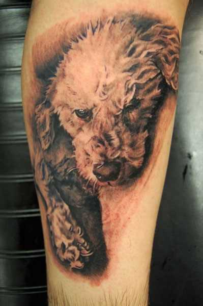 Tatuagem no antebraço do cara com a imagem do cão