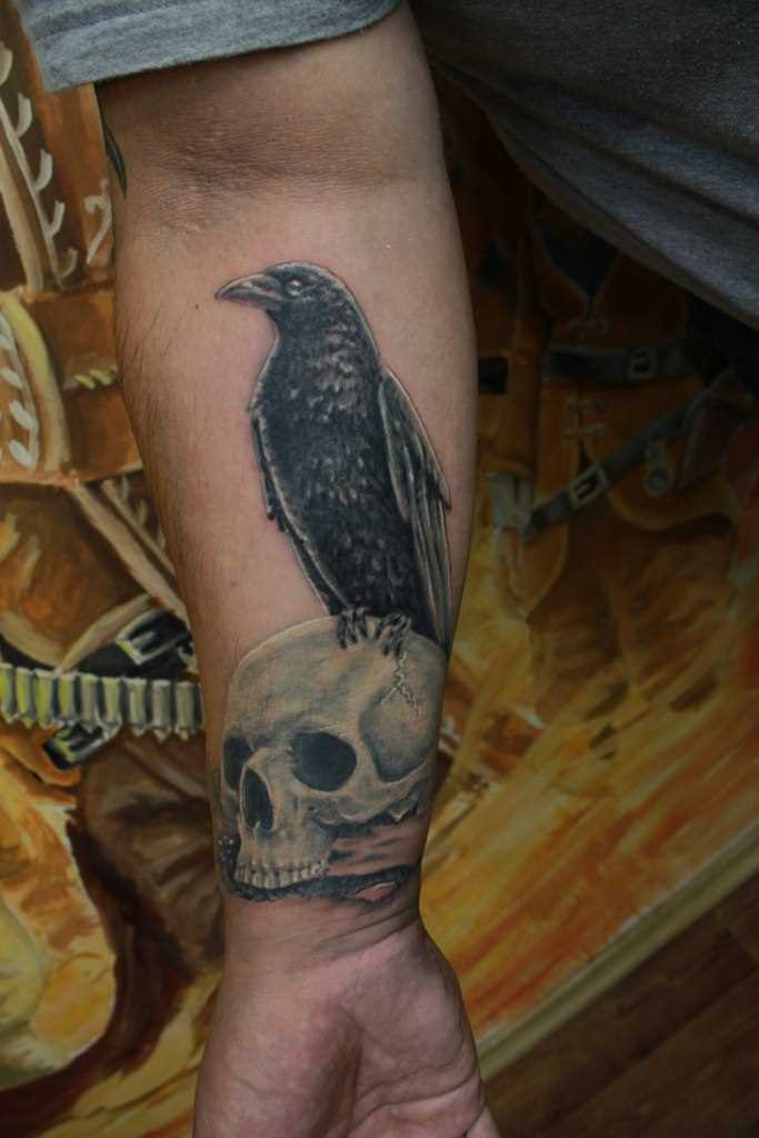 Tatuagem no antebraço do cara - de- corvo no crânio