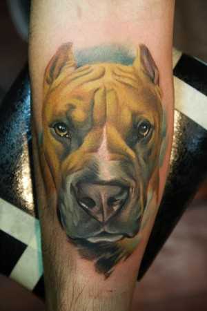 Tatuagem no antebraço do rapaz com uma imagem de cão