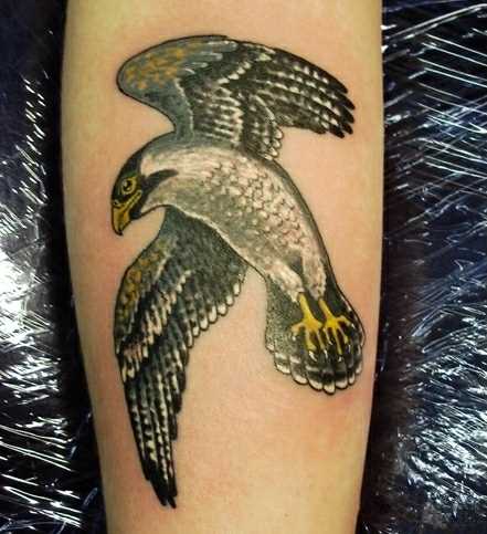 Tatuagem no antebraço meninas - falcão
