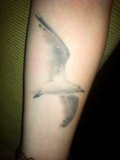 Tatuagem no antebraço meninas - gaivota