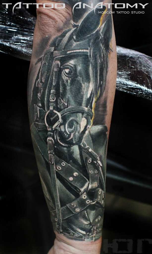 Tatuagem no antebraço para o homem - cavalo