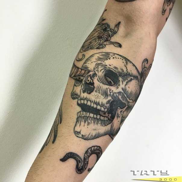 Tatuagem no antebraço para o homem - caveira com uma cobra