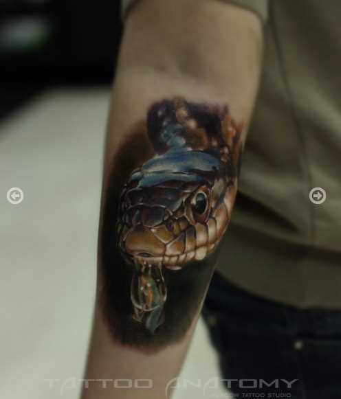 Tatuagem no antebraço para o homem - cobra