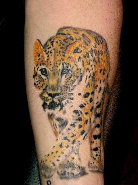 Tatuagem no antebraço para o homem - leopardo