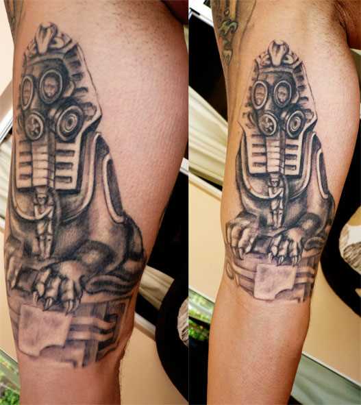 Tatuagem no braço de um cara - a esfinge