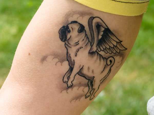 Tatuagem no braço de um cara - de- cão com asas