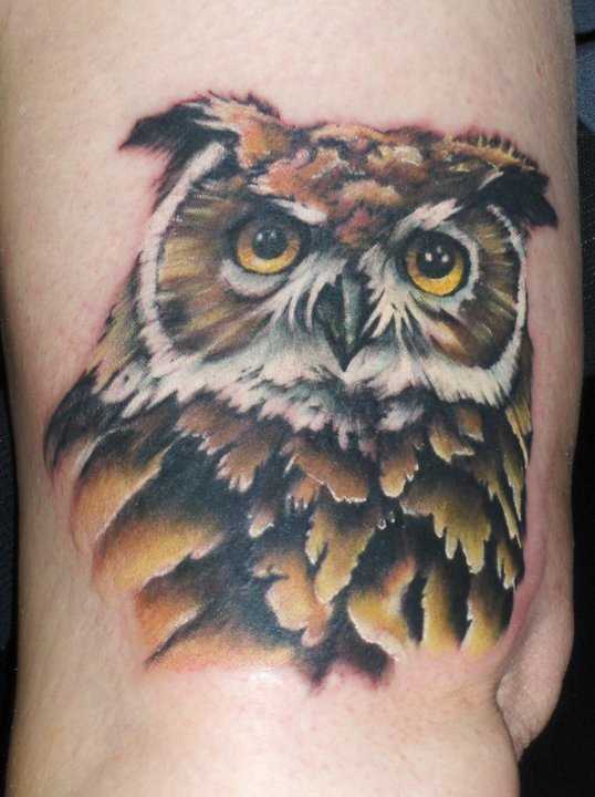 Tatuagem no braço de um cara - de- coruja