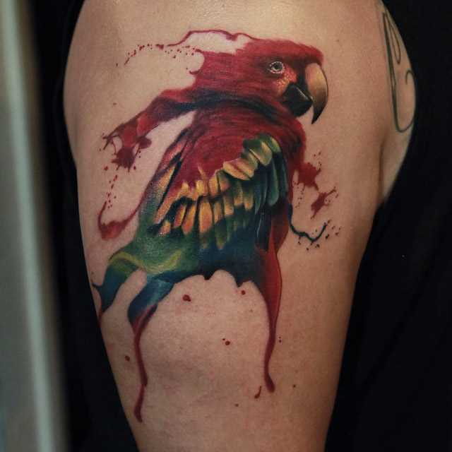 Tatuagem no braço de um cara - de- papagaio