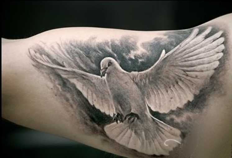 Tatuagem no braço de um cara - de- pombo