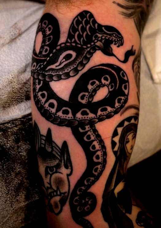 Tatuagem no braço de um cara em forma de serpente