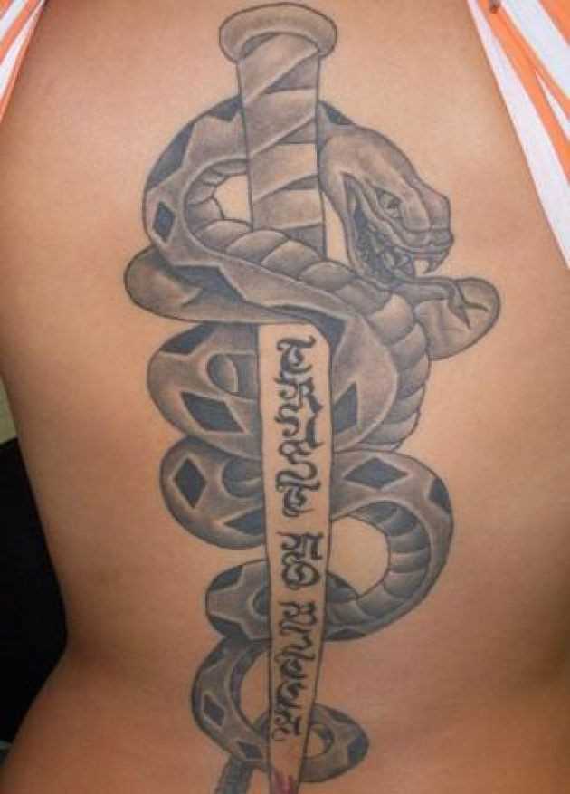 Tatuagem no lado da menina - a serpente e o punhal
